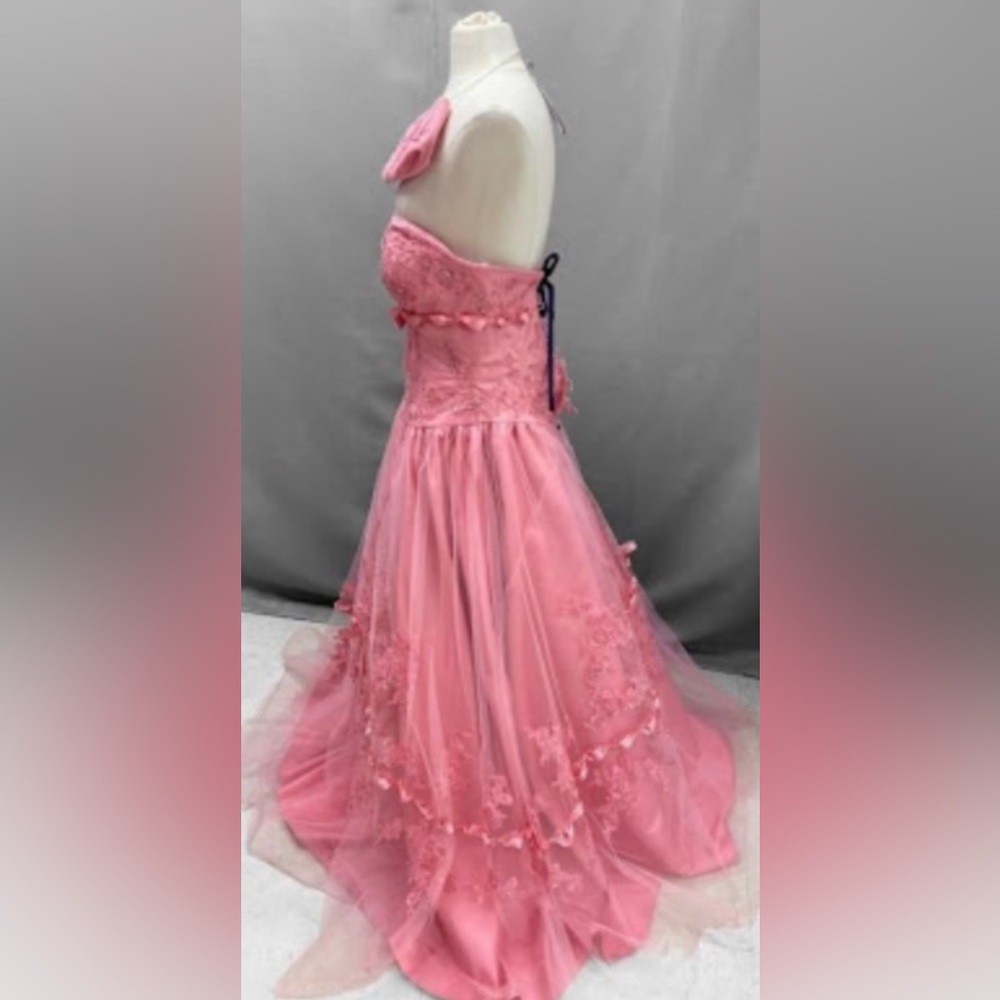 Mary’s Quinceañera Dress - Picture 5 of 10